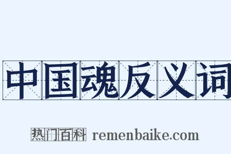 中国魂反义词是什么意思的图片